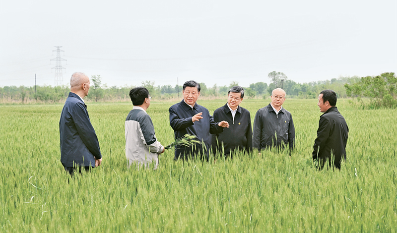 2023年5月11日至12日，中共中央總書記、國家主席、中央軍委主席習近平在河北考察，并主持召開深入推進京津冀協(xié)同發(fā)展座談會。這是11日上午，習近平在滄州市黃驊市舊城鎮(zhèn)仙莊片區(qū)旱堿地麥田考察時，同種植戶、農(nóng)技專家親切交流。 新華社記者 李學仁/攝