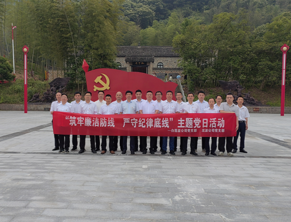 白蓮崖電站、流波電站_副本.png